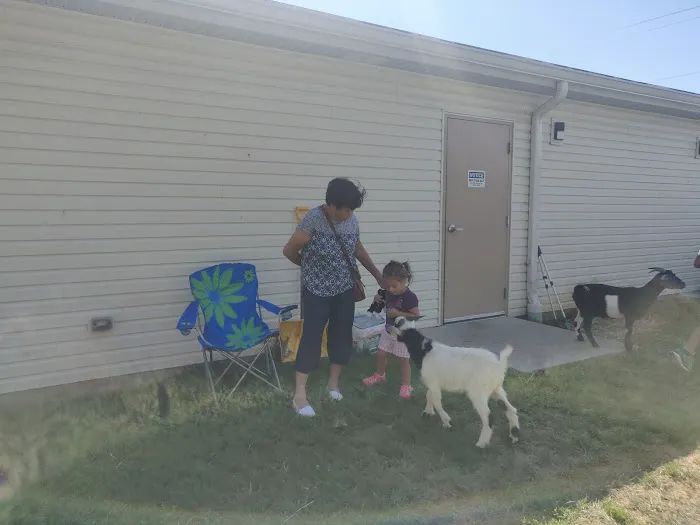 Animal Hospital of Dauphin County 4