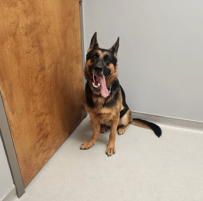 Animal Hospital of Dauphin County 6