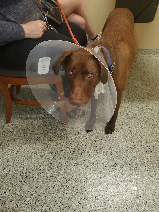 Rossmoyne Animal Hospital & Urgent Care Center 10