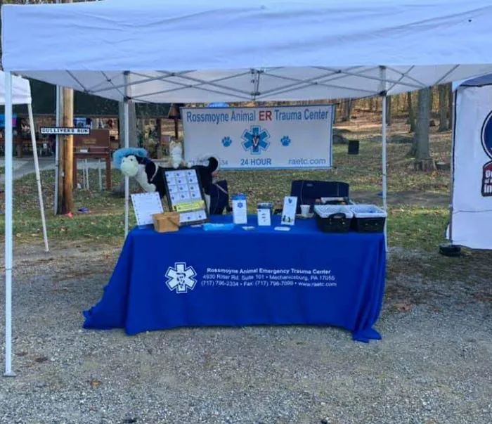 Rossmoyne Animal Hospital & Urgent Care Center 8
