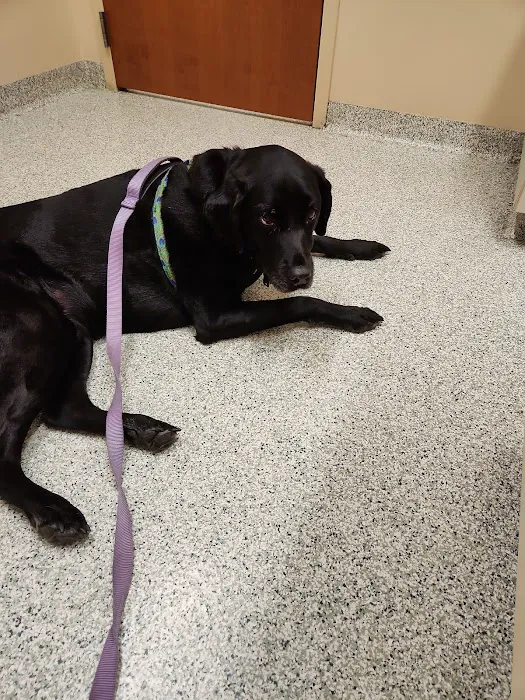 Rossmoyne Animal Hospital & Urgent Care Center 9