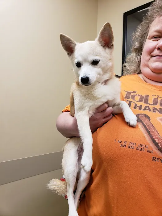 Rossmoyne Animal Hospital & Urgent Care Center 1