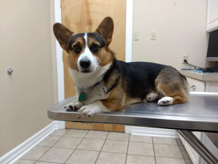 VCA Gettysburg Road Animal Hospital 2