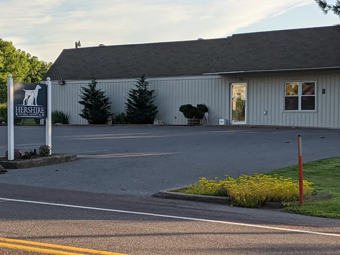 Hershire Animal Hospital 6