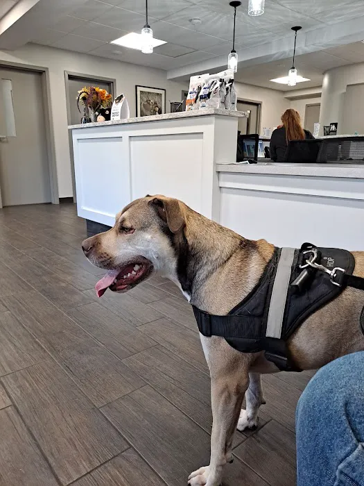 Hershire Animal Hospital 3