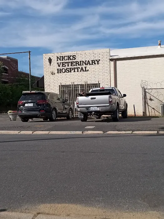 Epic Tails Veterinary Clinic 7