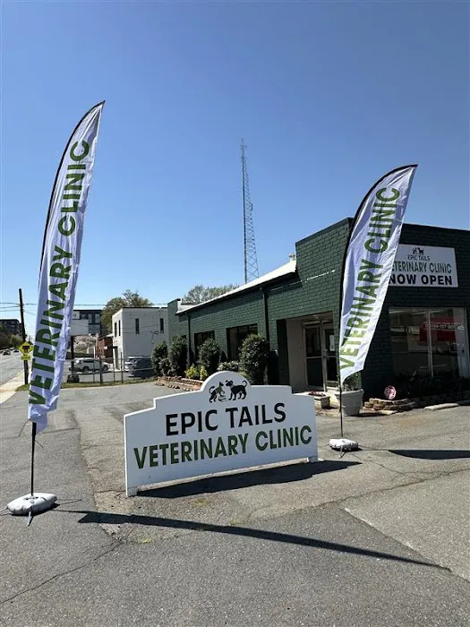 Epic Tails Veterinary Clinic 3