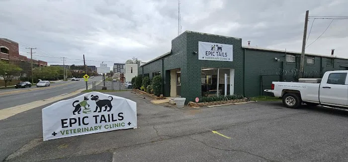 Epic Tails Veterinary Clinic 2