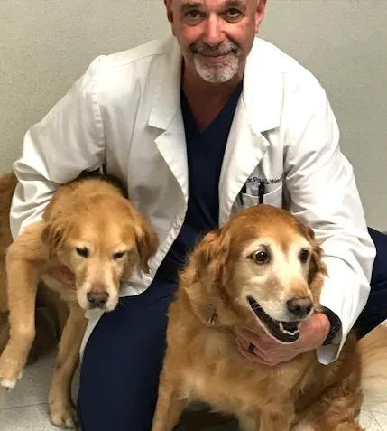 Providence Animal Hospital 1