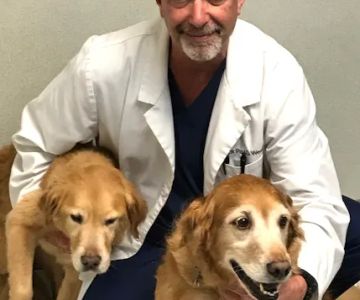 Providence Animal Hospital