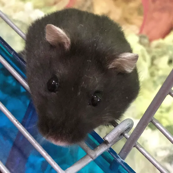 Providence Animal Hospital 9
