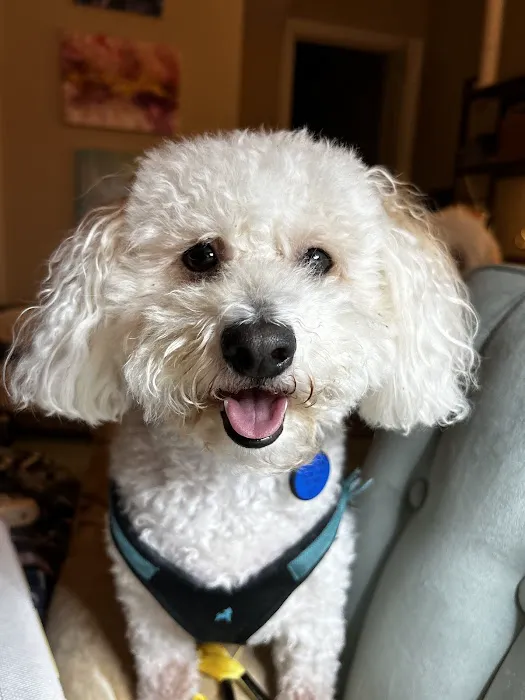 Banfield Pet Hospital 6