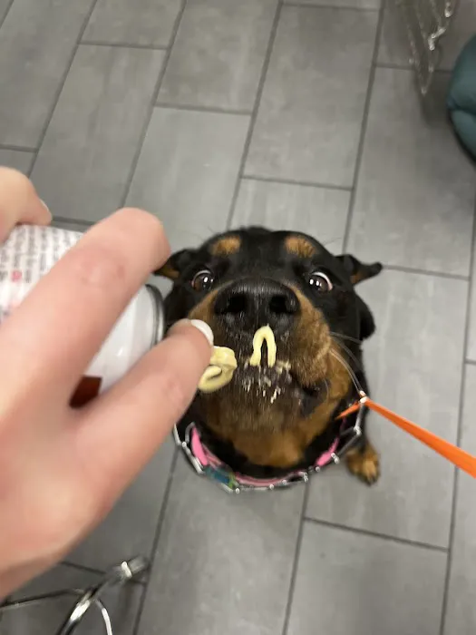 Banfield Pet Hospital 8