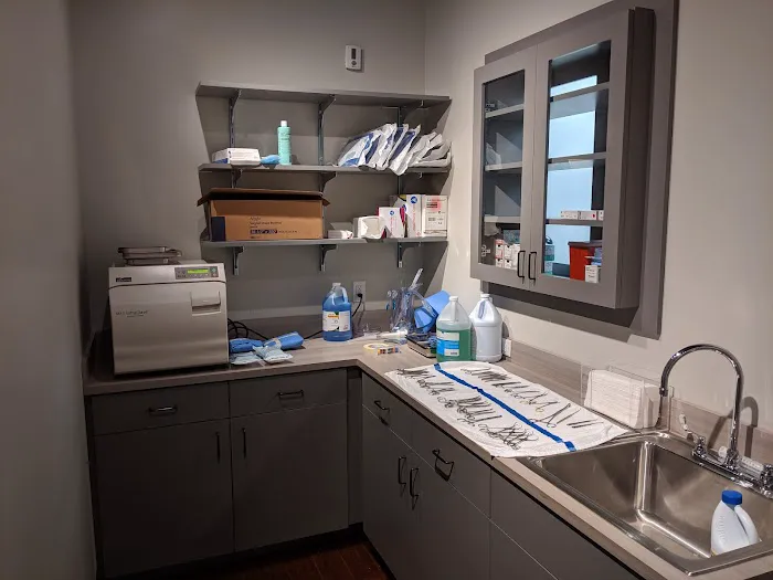 DownDog Veterinary Clinic 10