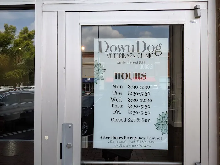 DownDog Veterinary Clinic 7