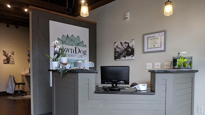DownDog Veterinary Clinic 1