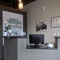 DownDog Veterinary Clinic ico