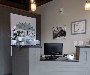 DownDog Veterinary Clinic