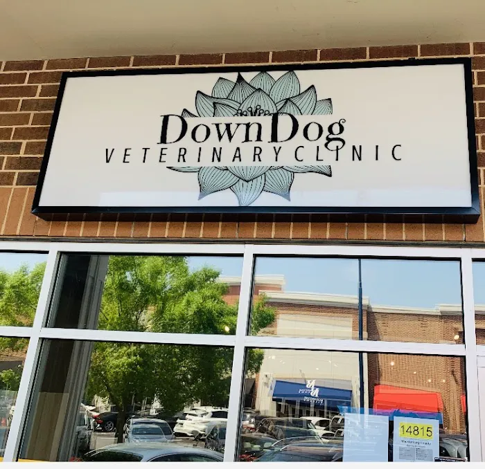 DownDog Veterinary Clinic 2