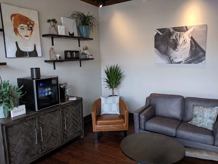 DownDog Veterinary Clinic 5
