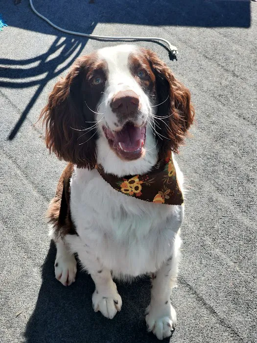 Piper Glen Animal Hospital 9