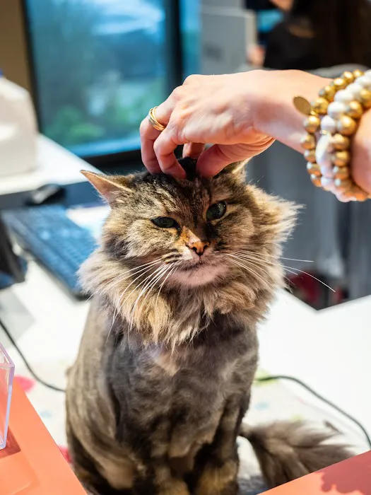 Mixed Pet Veterinary Hospital 5