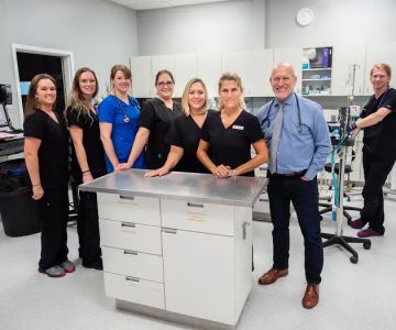 Mixed Pet Veterinary Hospital