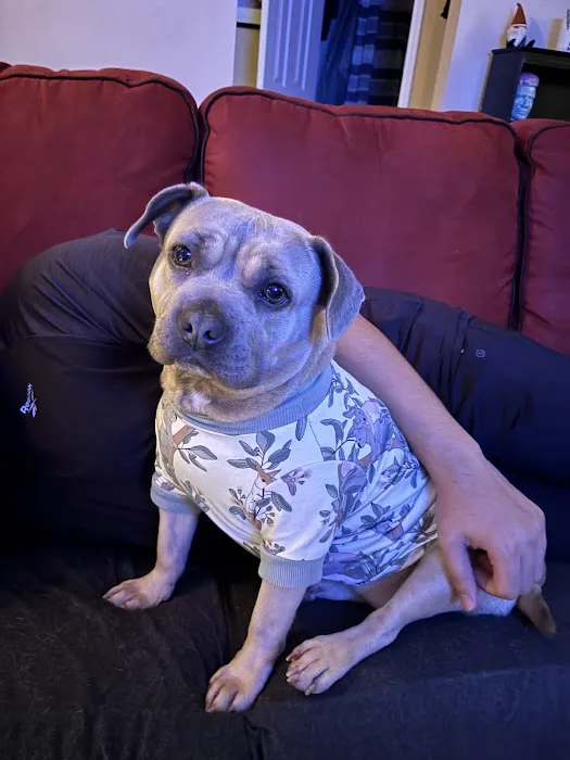 Carolina Place Animal Hospital 1