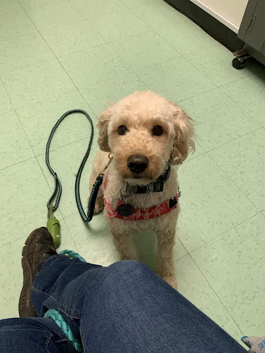 Carolina Place Animal Hospital 2