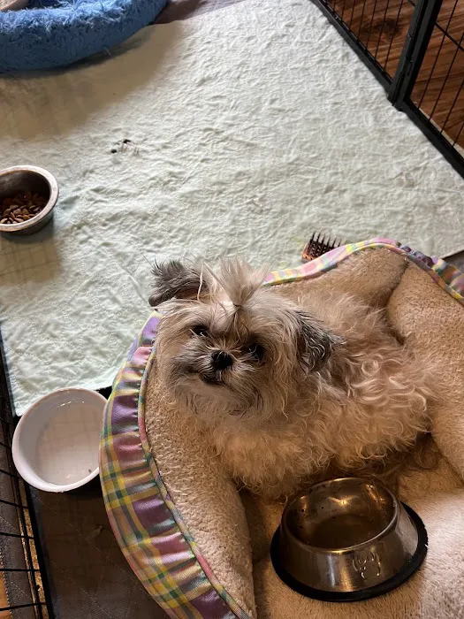 Carolina Place Animal Hospital 6