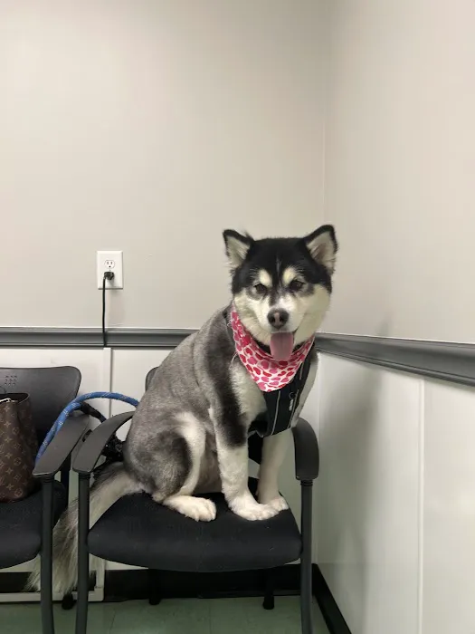 Carolina Place Animal Hospital 5