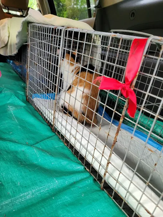 SnipWell Spay Neuter & Wellness Clinic 12