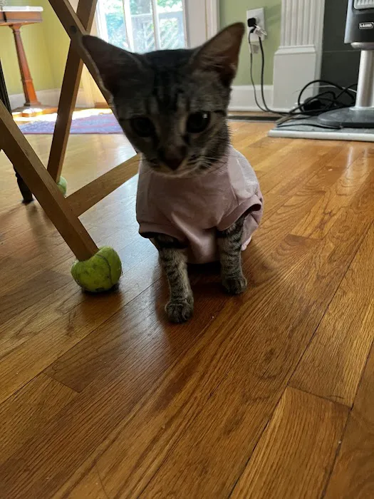 SnipWell Spay Neuter & Wellness Clinic 12