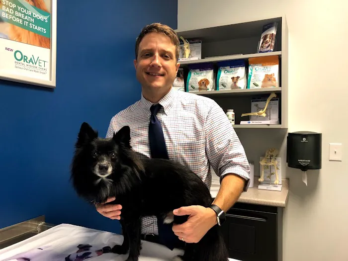 Mill Town Veterinary Clinic 5