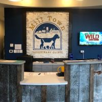 Mill Town Veterinary Clinic ico