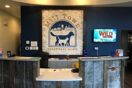 Mill Town Veterinary Clinic