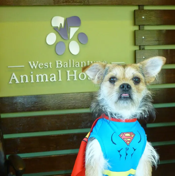 West Ballantyne Animal Hospital 7