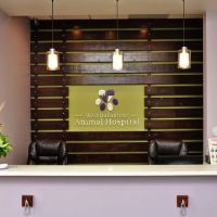 West Ballantyne Animal Hospital ico