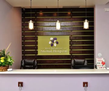 West Ballantyne Animal Hospital