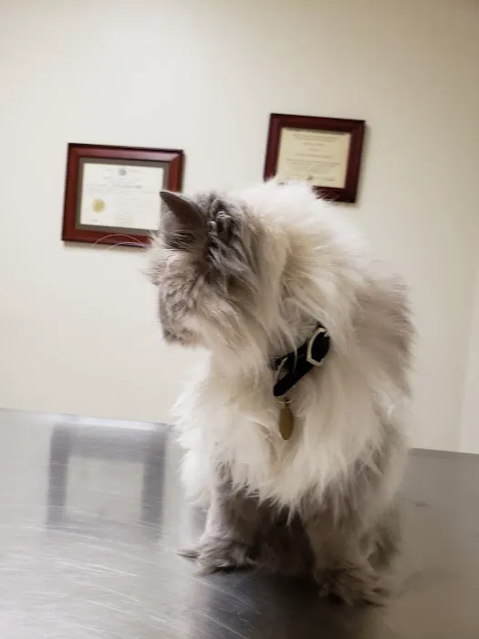 Bluemound Animal Hospital 6