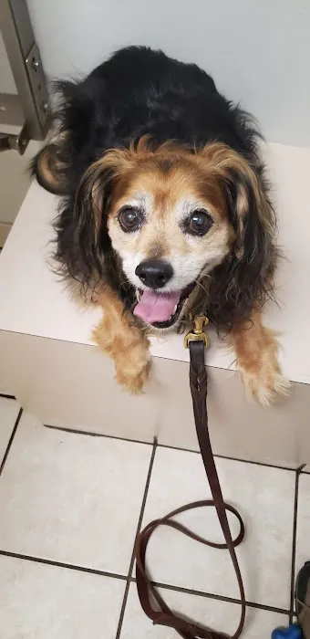 Bluemound Animal Hospital 3