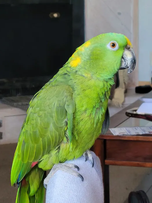 Bluemound Animal Hospital 4