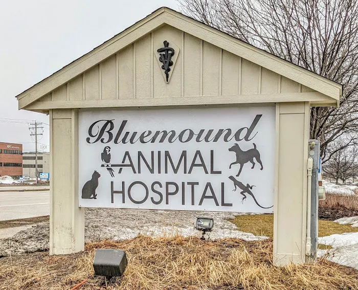 Bluemound Animal Hospital 10