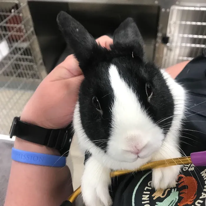 Milwaukee Vet Clinic 12