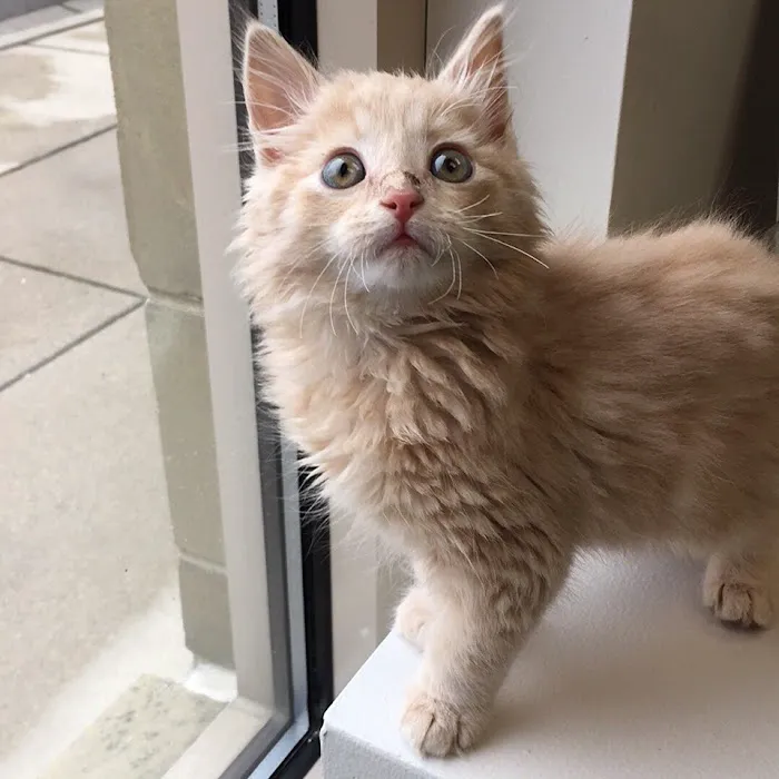 Milwaukee Vet Clinic 12