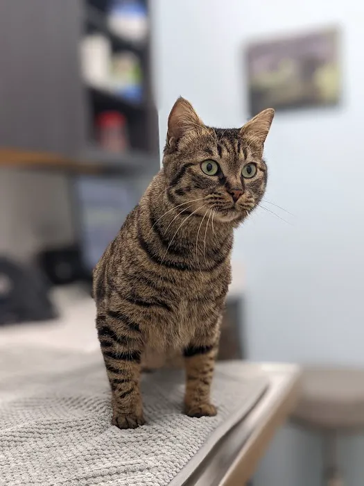 Milwaukee Vet Clinic 12