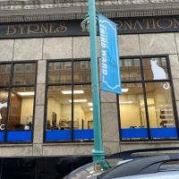 Cat Care Clinic Milwaukee ico