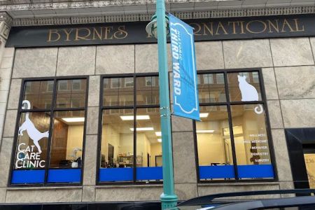 Cat Care Clinic Milwaukee