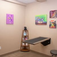 Downtown Veterinary Clinic ico