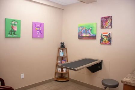 Downtown Veterinary Clinic